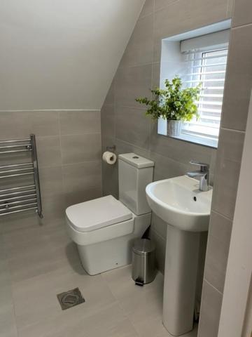 Stanley Street Apartment
