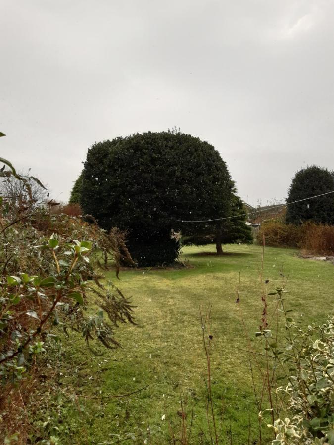 Holiday home The Bungalow Moss Lane Churchtown