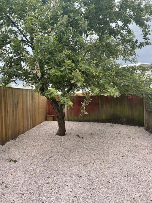 Lemon Tree Terrace In Central