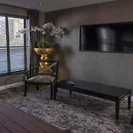 The Bold Hotel; BW Signature Collection