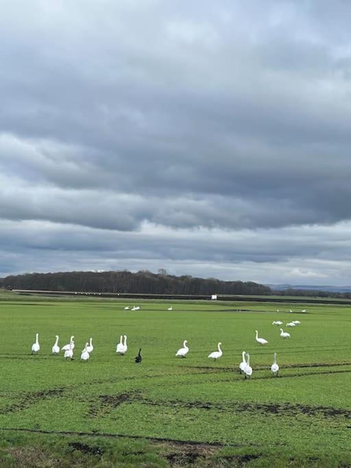 Rural Family With Countryside Views * Southport